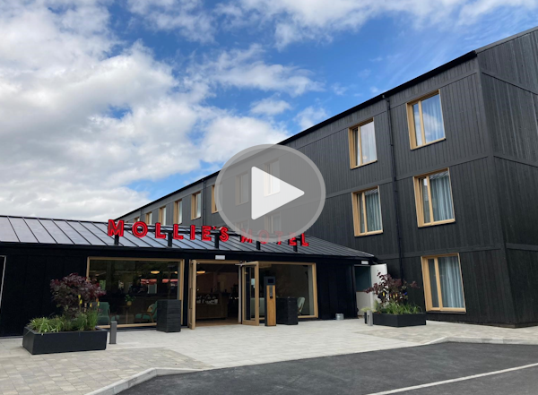 mollies bristol video